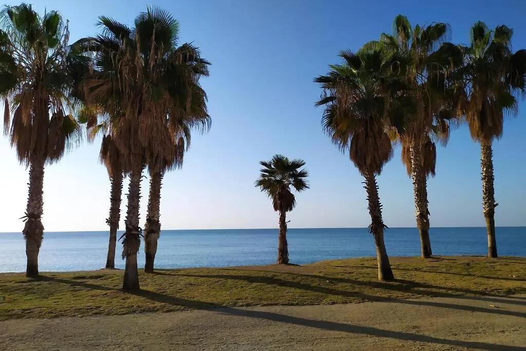 Suite Malaga Center 0*,  Spain